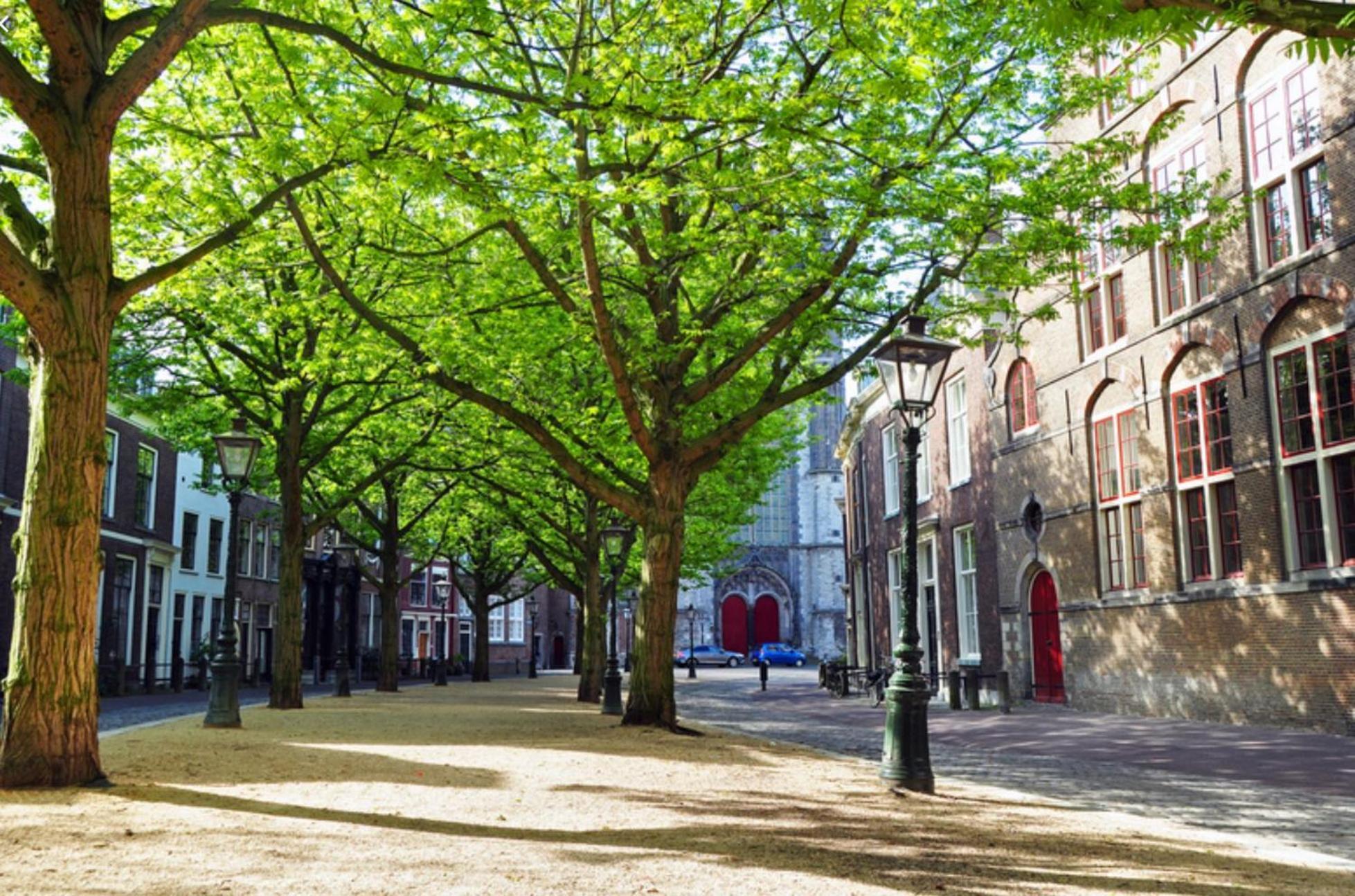 Veldhorst Apartments 레이든 외부 사진